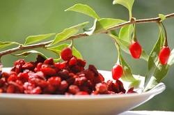 Gojibeeren
